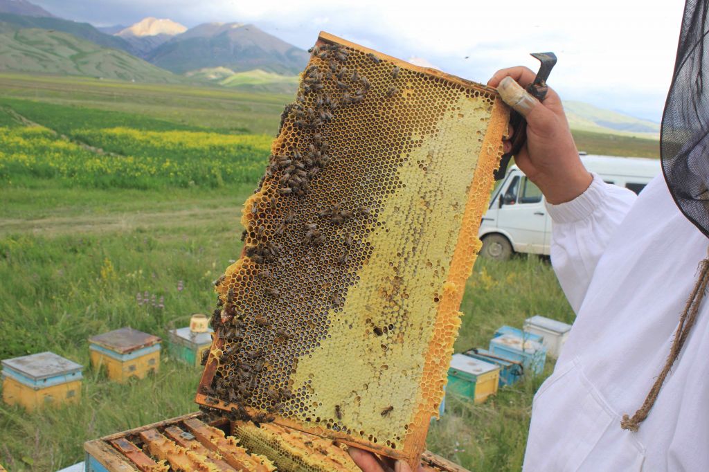Direct Access to Kyrgyz beekeepers and farmers