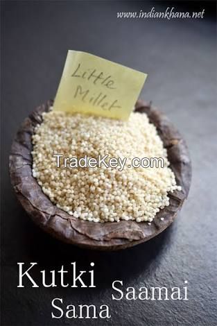Little Millet (Botanical Name-Panicum millare)