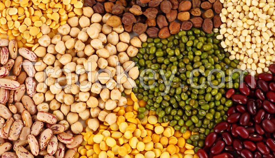 all type of beans