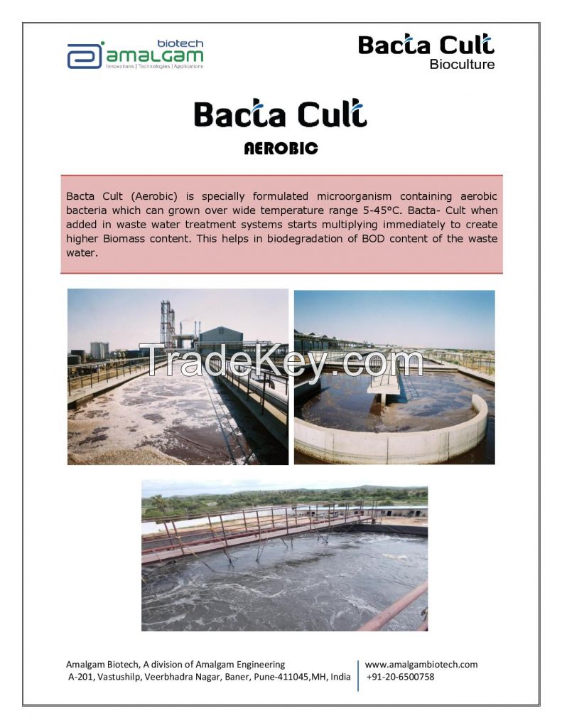 BACTA CULT Aerobic