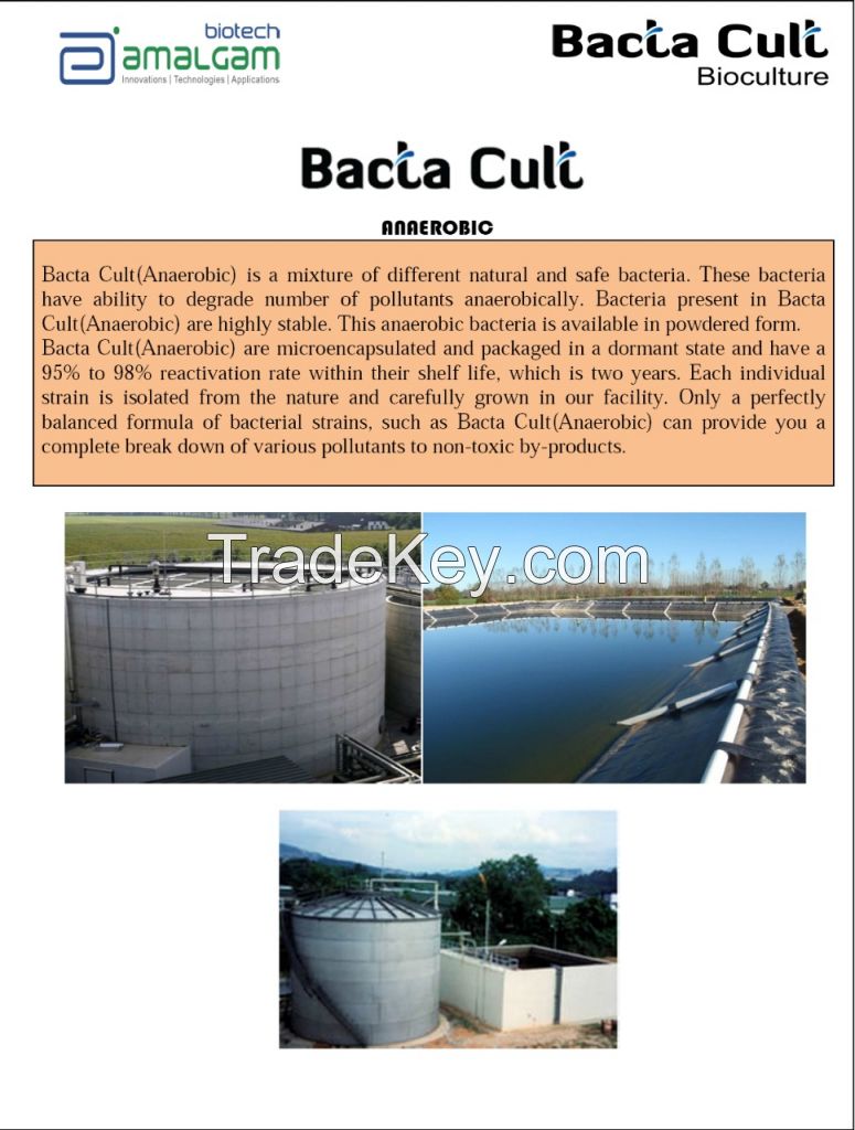 BACTA CULT Anaerobic