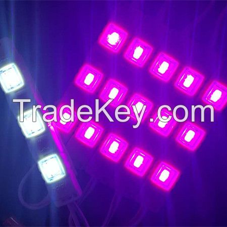 High quality and good price DC12V 120 degree 1.5W IP65 SMD5730 led module with 3 lens