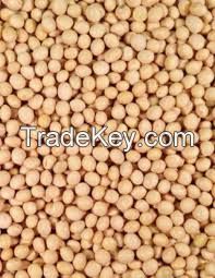 SOYA BEANS
