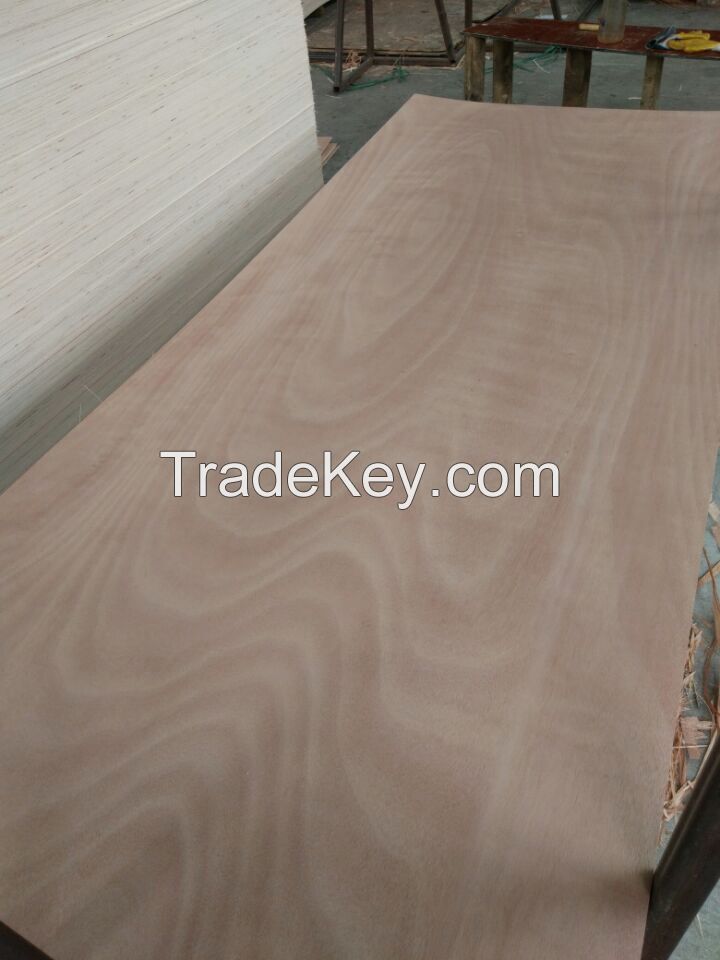 Plywood door skin