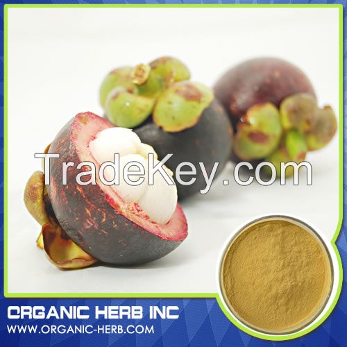 mangosteen powder extract