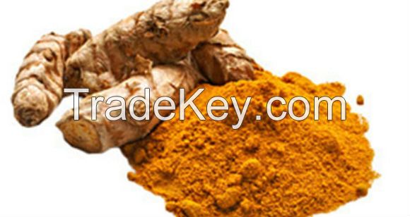 Turmeric Curcuma Extract