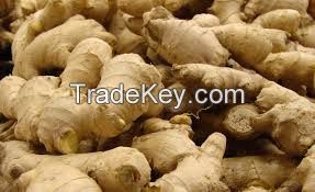 RAW COTTON,COTTON SEEDS, ALL HIDES/SKINS,RAW GOLD,GOLD DUST,GINGER,METAL AND IRON,BITTER COLA,E.T.C