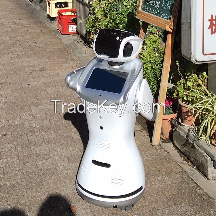 QIHAN Sanbot cloud-brained platform programmable intelligent human like robot for retail