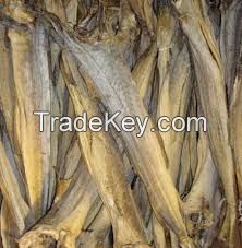 Quality Dried StockFish from Thailand