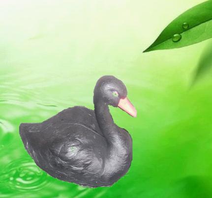 plastic swan