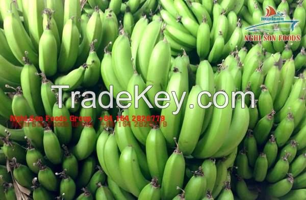 Fresh Cavendish Banana Supplier in Viet Nam