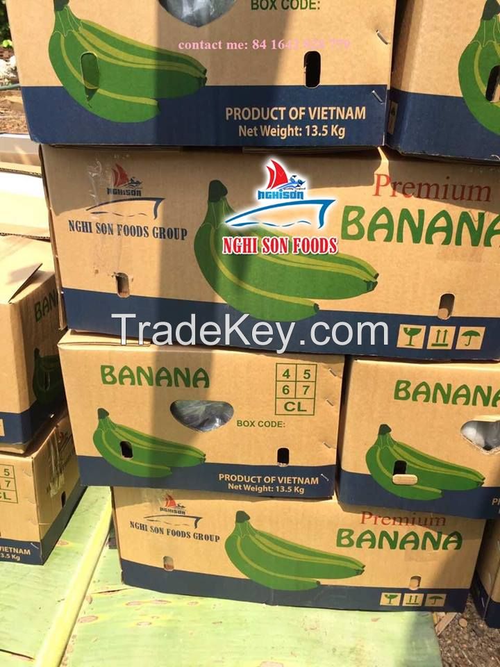 Fresh Cavendish Banana Supplier in Viet Nam