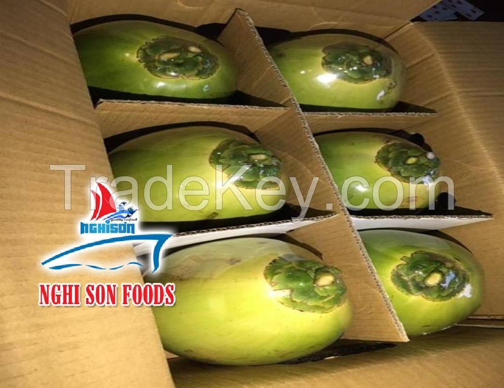 VIET NAM FRESH COCONUT PREMIUM QUALITY