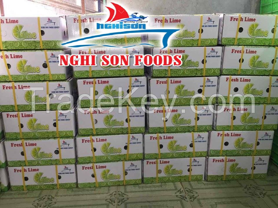 FRESH LIME SUPPLIER FROM VIET NAM 
