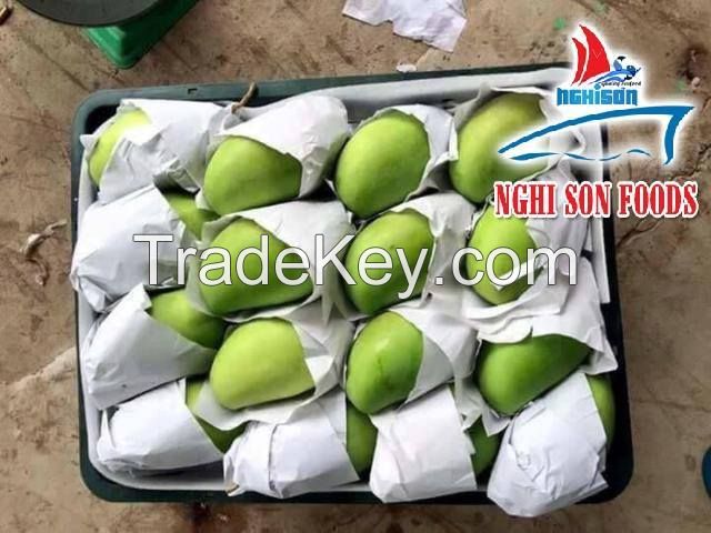 Viet Nam Fresh Mango Natural and Best Price.