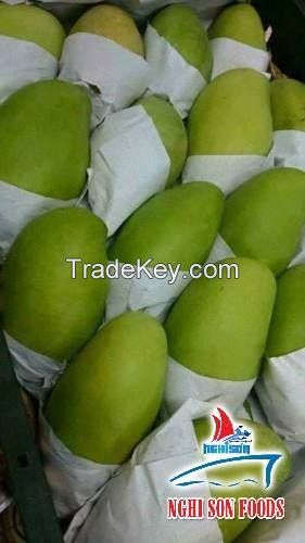 Viet Nam Fresh Mango Natural and Best Price.
