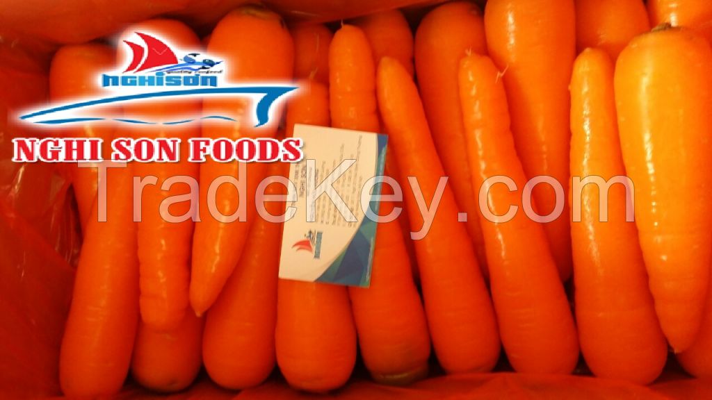 Fresh Orange Carrot from Viet Nam with High Quality-Wholesale Price.
