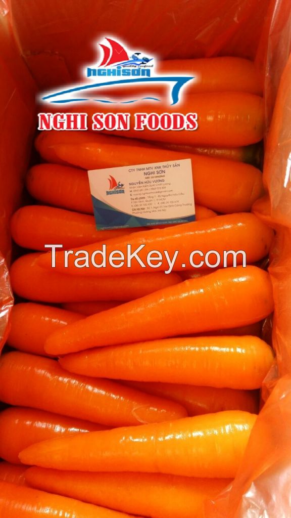 Fresh Orange Carrot from Viet Nam with High Quality-Wholesale Price.