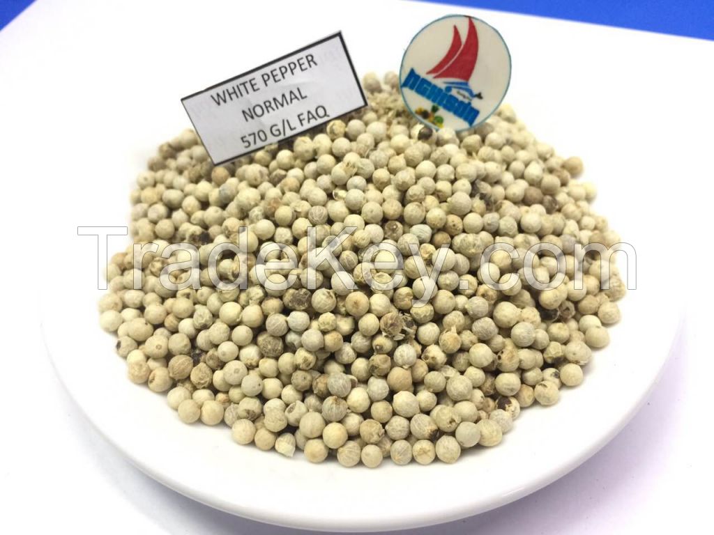 Black Pepper Supplier from Viet Nam