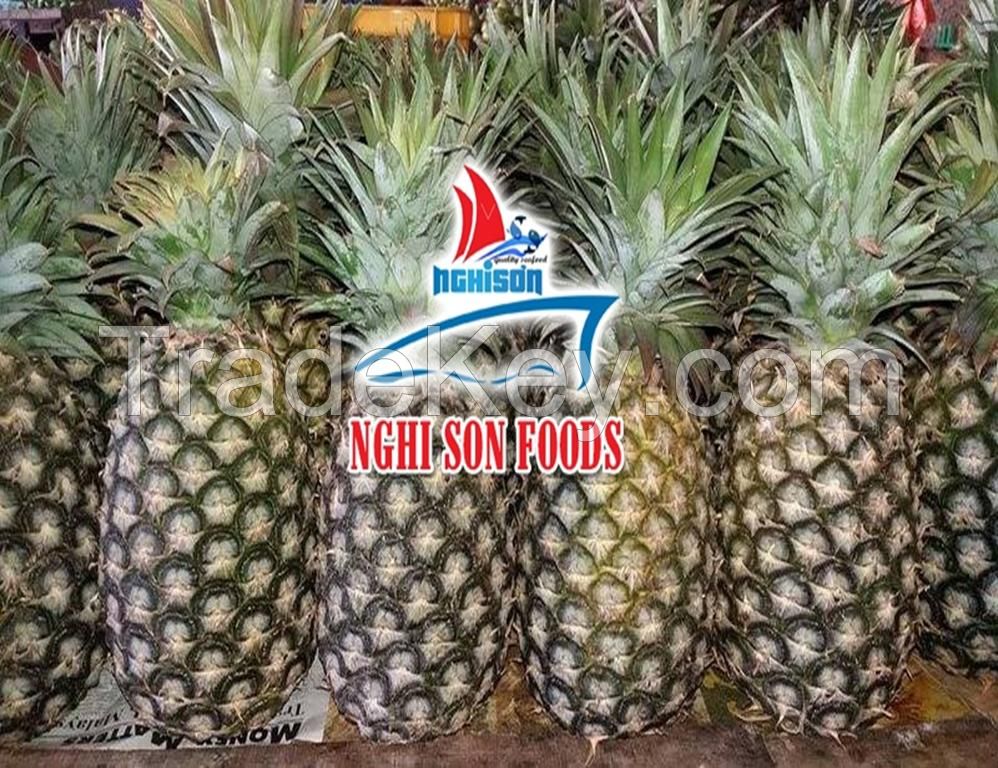 Fresh Tropical Pineapple with the Best Price from Viet Nam