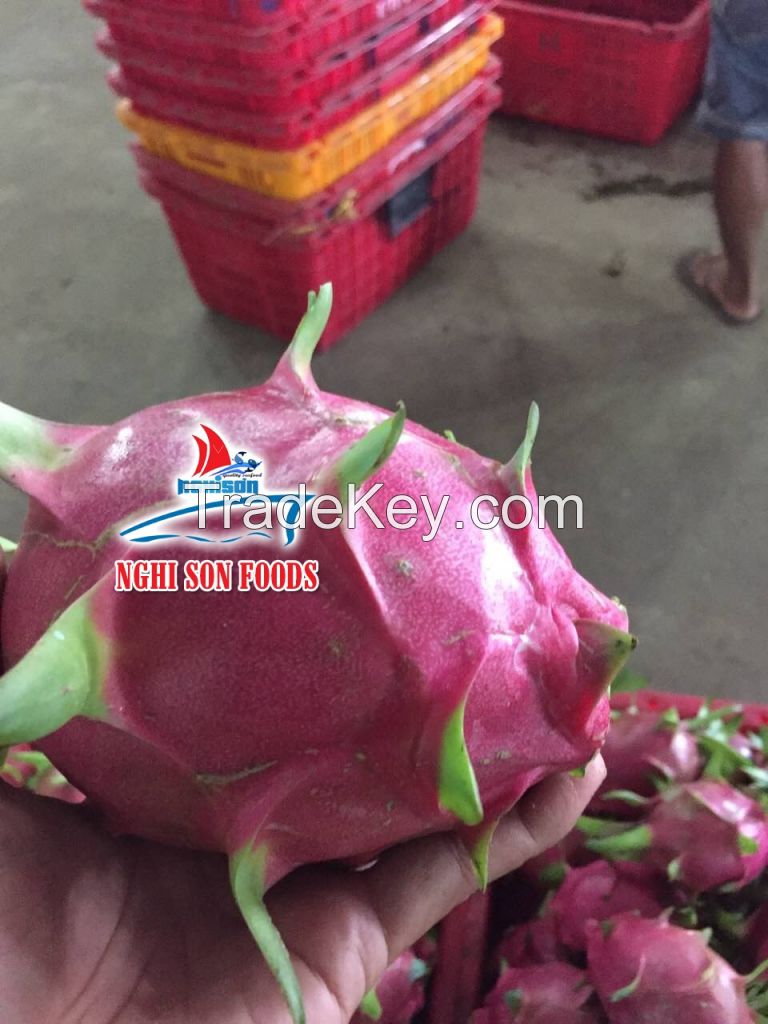 DRAGON FRUIT VIETNAM FOR SALE