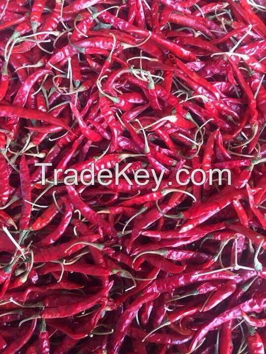 Supply TEJA S17 Chili with Stem From India