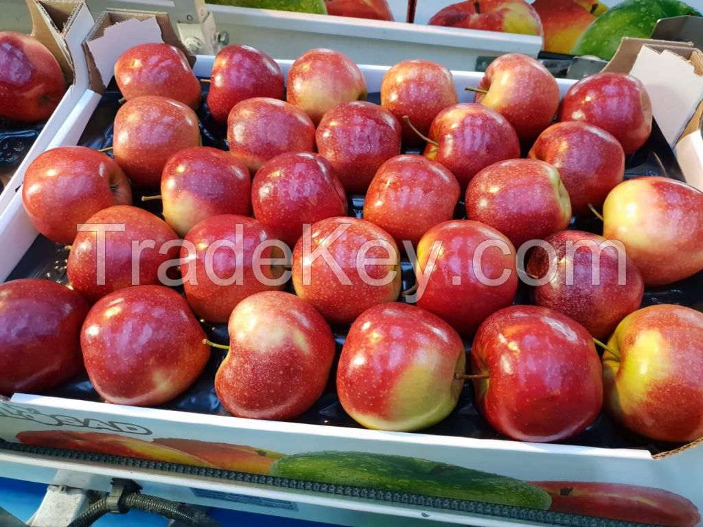 PRINCE RED APPLES