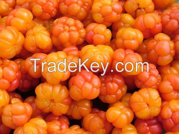 Frozen wild cloudberries