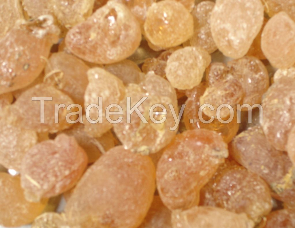 Sudanese Gum Arabic