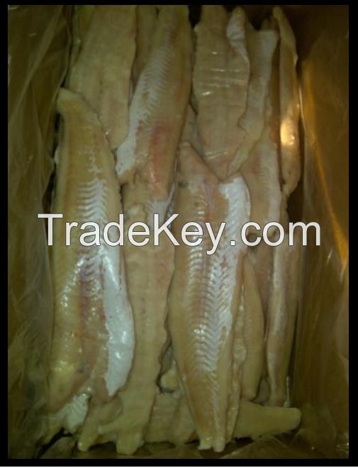 HAKE (Merluccius hubbsi) skinless fillets 