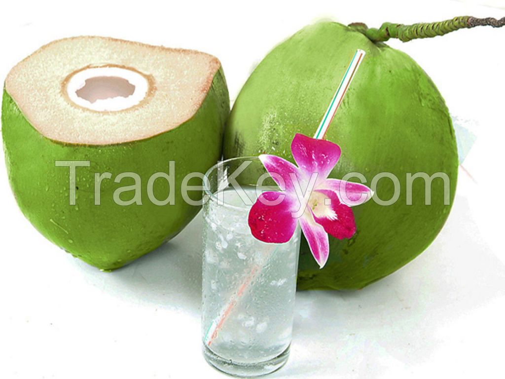 Whole Fresh Coconut