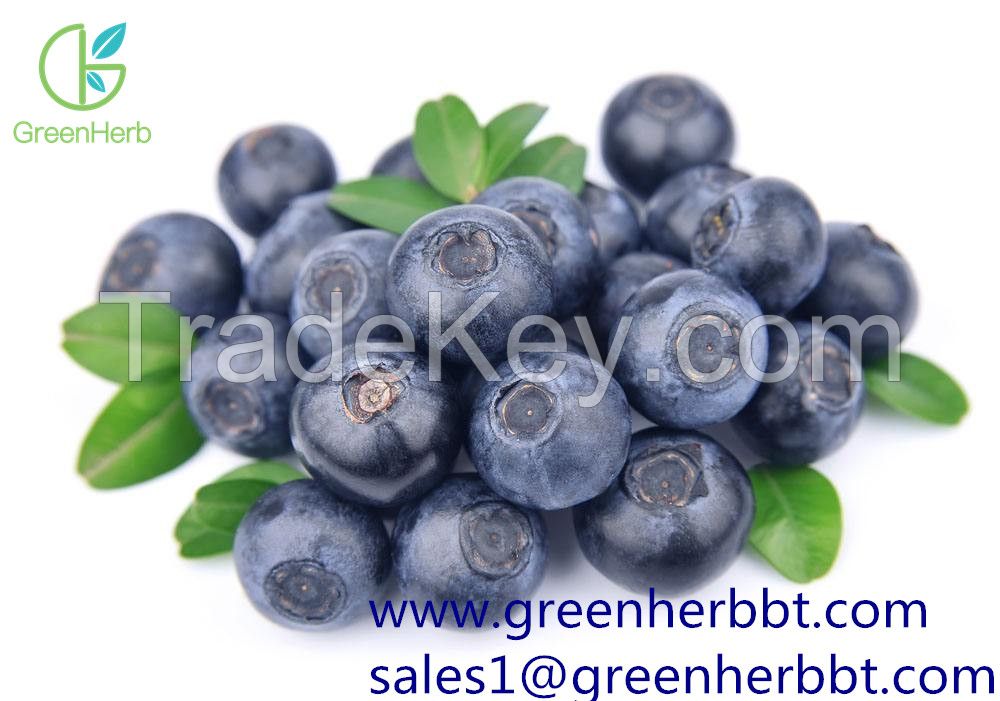 Chinese Bilberry Extract 5%-25% Anthocyanidin