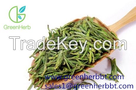 Green Tea Extract polypheol 90-98% catechins 70-80%