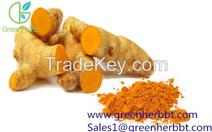 Turmeric Extract Curcumin 95%