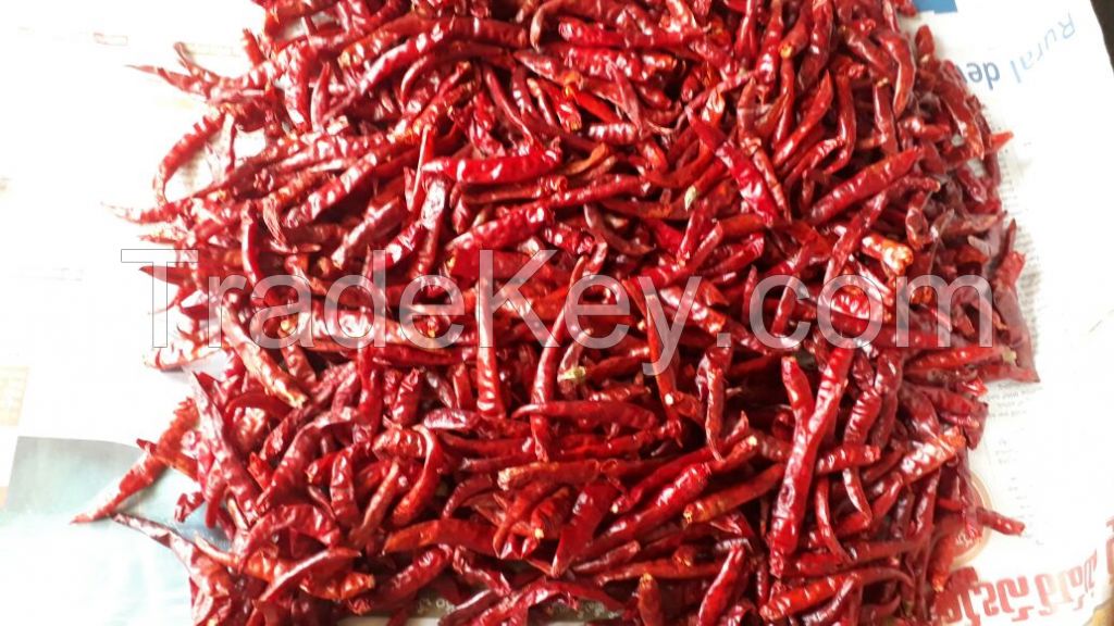 Trade chance to export and import TEJA S17 chili from India