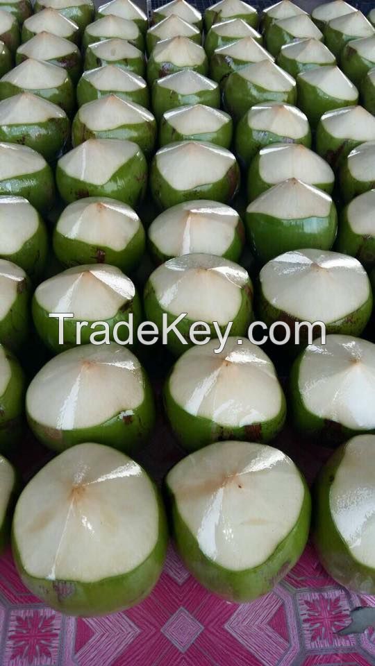 Fresh green young coconuts