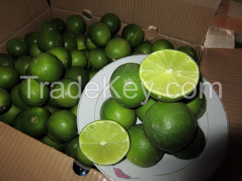 Fresh Seedless Lime