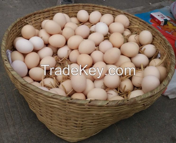 Fresh Table White And Brown Chicken Eggs