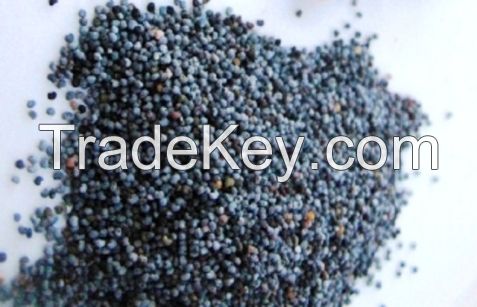 Top Quality Poppy Seeds (Blue , Brown & White Poppy Seed)