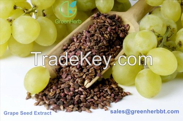 Grape seed extract powder 95% OPC
