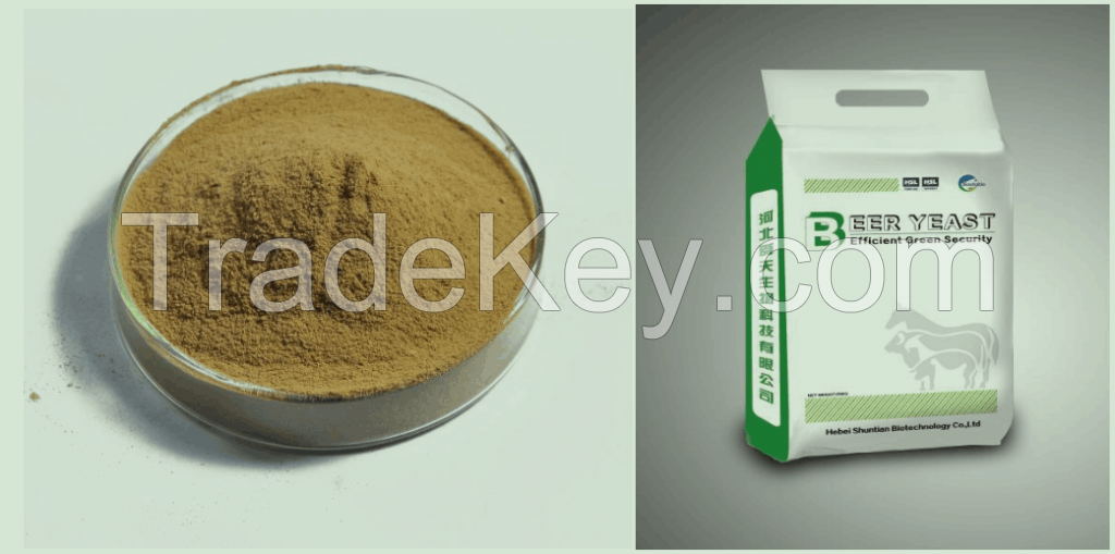 Brewers Yeast Powder