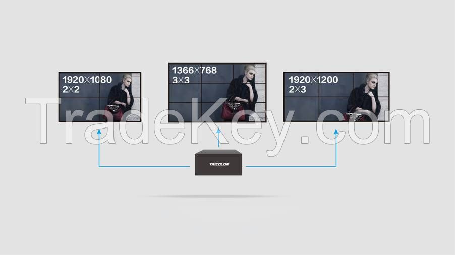 HADES Multi-Screen Video Wall Processor  