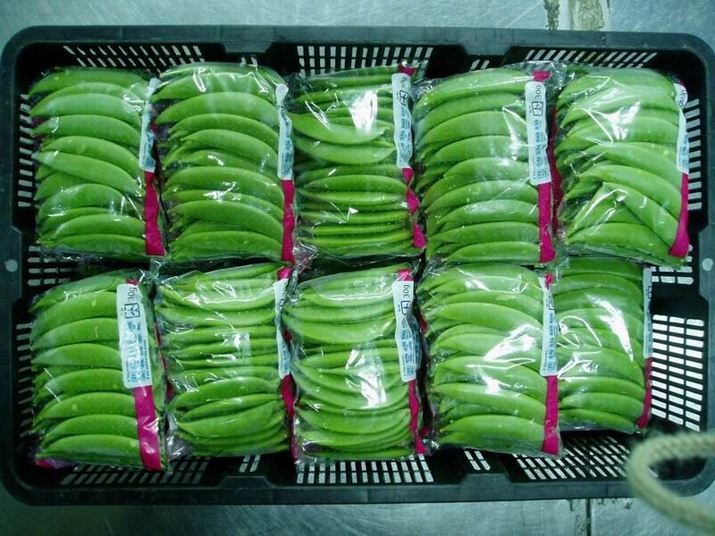 fresh surgar snap  peas 