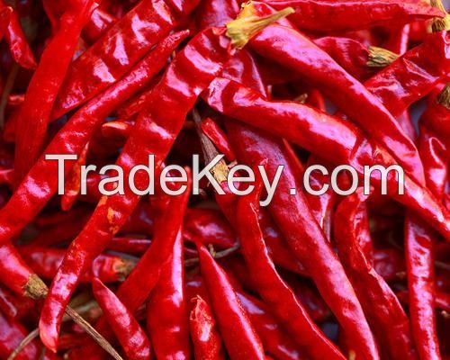 Dried Red Chilli