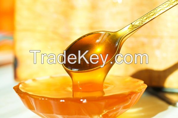 Honey from Ukraine for good price