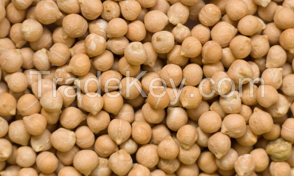 Dried Chickpeas Wholesale