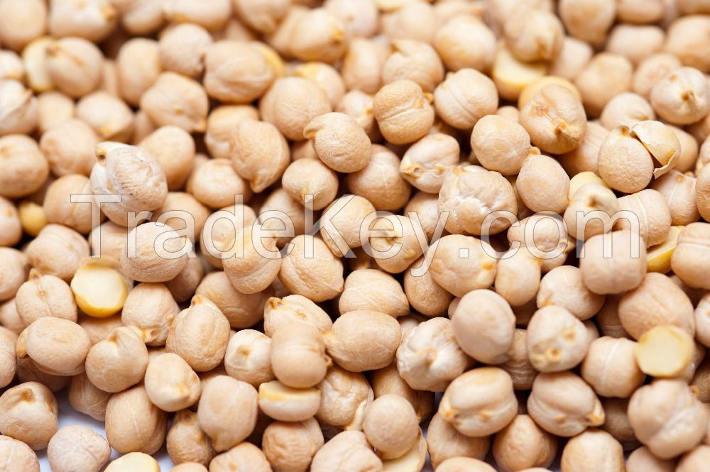 Dried Chickpeas Wholesale