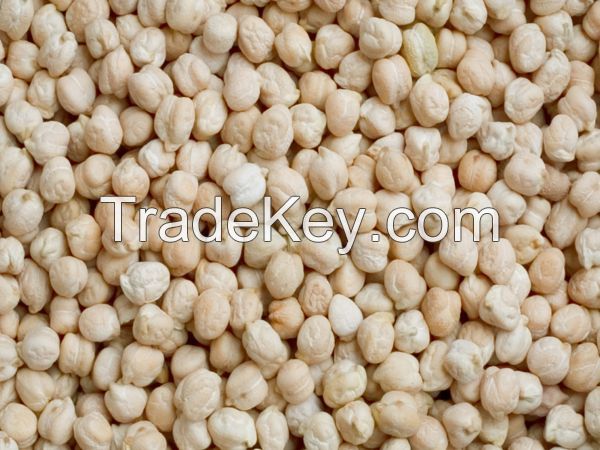 Dried Chickpeas Wholesale