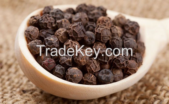black pepper seeds peppercorn