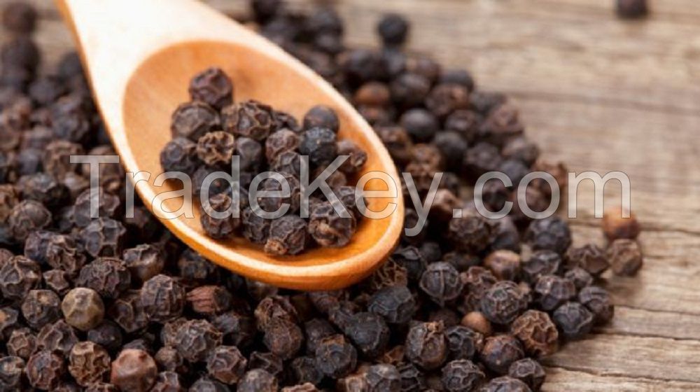 black pepper seeds peppercorn